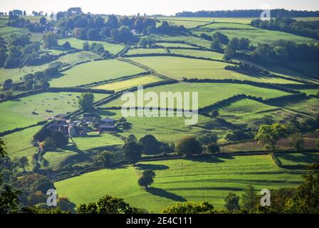 Sanften Hügellandschaft in der Nähe von Bath, Somerset, England, Vereinigtes Königreich Stockfoto