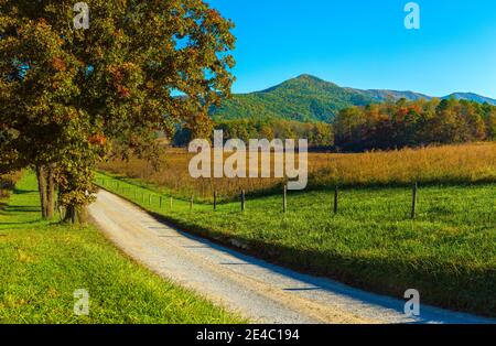 Unbefestigte Straße, die durch ein Feld führt, Hyatt Lane, Cades Cove, Great Smoky Mountains National Park, Tennessee, USA Stockfoto