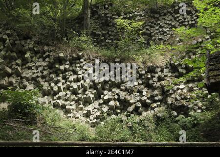 Basaltsäulen im NSG Gangolfsberg im Kerngebiet des Biosphärenreservats Rhön, Bayerische Rhön, Kreis Rhön-Grabfeld, Unterfranken, Bayern, Deutschland Stockfoto