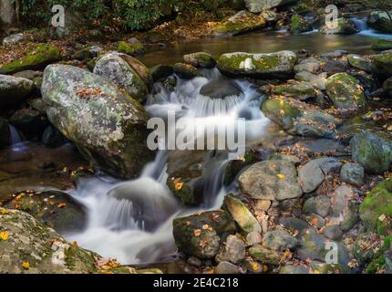 Bach fließt durch Felsen in einem Wald, Roaring Fork Motor Nature Trail, Great Smoky Mountains National Park, Tennessee, USA Stockfoto