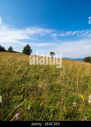 Rhön Landschaft am Kreuzberg - der heilige Berg des Frankens - Biosphärenreservat Rhön, Unterfranken, Franken, Bayern, Deutschland Stockfoto