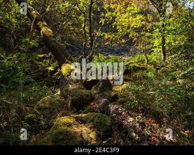 Rhön Landschaft am Kreuzberg - der heilige Berg des Frankens - Biosphärenreservat Rhön, Unterfranken, Franken, Bayern, Deutschland Stockfoto