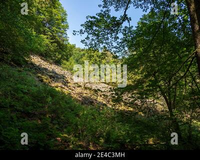 Rhön Landschaft am Kreuzberg - der heilige Berg des Frankens - Biosphärenreservat Rhön, Unterfranken, Franken, Bayern, Deutschland Stockfoto