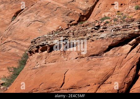 Antike Zeiten sind in den Schichten von Felsen innerhalb der hoch aufragenden Sandsteinwände des Glen Canyon in Arizona ausgesetzt. Stockfoto