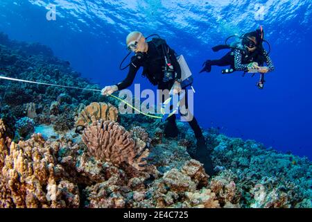 Forschung Taucher vom MOC Marine Institute Karte coral Schäden an Molokini Marine bewahren vor der Insel Maui, Hawaii. In der Zukunft, Daten fr Stockfoto