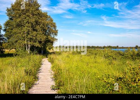 Die Region Ewiger Meer in der Nähe der Stadt Aurich in Ostfrisien. Stockfoto