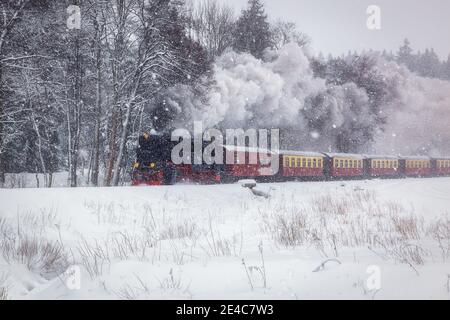 Dampfzug auf dem Weg zum Brocken durch die winterliche Landschaft Stockfoto