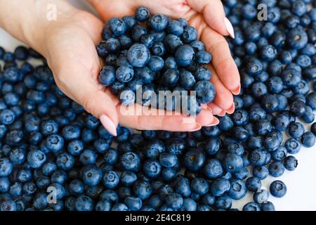 Die Oberfläche ist mit einer dicken Schicht von Heidelbeeren bedeckt, Moorernte. Natürlicher Hintergrund. Stockfoto