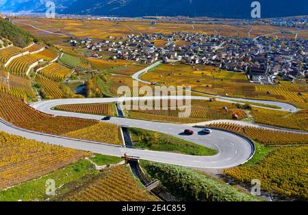 Eine Serpentinenstraße schlängelt sich durch die herbstlichen Weinberge im Weinbaugebiet bei Leytron, Wallis, Schweiz Stockfoto