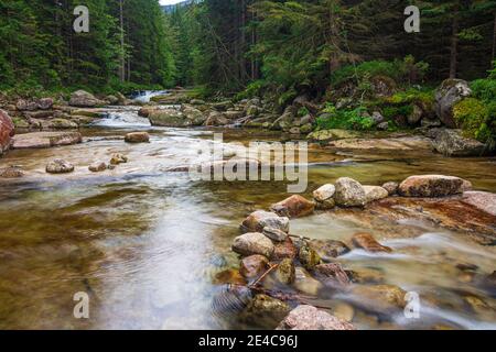 Spindleruv Mlyn (Spindlermühle), Bachgalle Labe (Weisswasser, Weisse Elbe) in Riesengebirge, Kralovehradecky, Hradec Kralove Region, Königgrätzer Region, Tschechisch Stockfoto