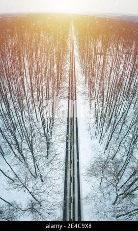 Straße durch den Winterwald Stockfoto