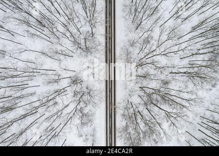 Straße durch den Winterwald Stockfoto