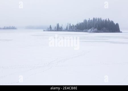 Astotin Lake, Elk Island National Park im Winter Stockfoto