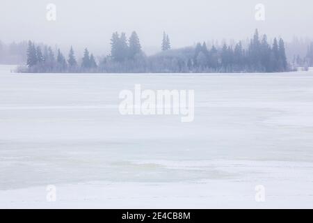 Astotin Lake, Elk Island National Park im Winter Stockfoto