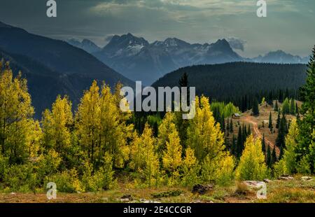 Stürmische, graue Wolken erheben sich über den bunten Aspens of Molas Pass, von der Route 550 in Colorado aus gesehen Stockfoto