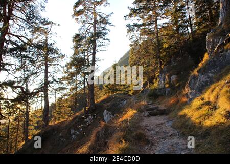 Blick vom Königsstand (1453m) Richtung Kramer (Hintergrund) bei Garmisch-Partenkirchen, Oberbayern, Bayern, Deutschland, Bayerische Alpen, Werdenfelser Land, Stockfoto