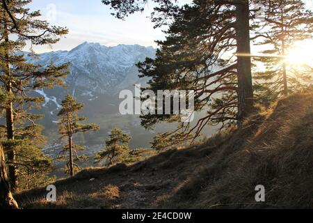 Blick vom Königsstand (1453m) auf Kramer nach Garmisch-Partenkirchen, Richtung Alpspitze zwischen den Bäumen, Oberbayern, Bayern, Deutschland Bayerische Alpen, Werdenfelser Land Stockfoto