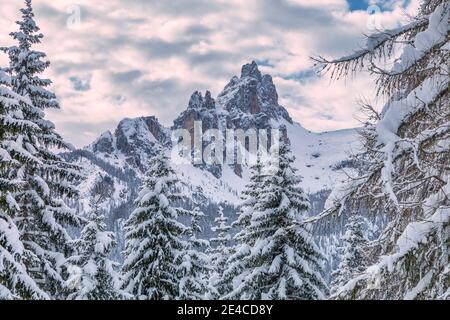 Italien, Venetien, Provinz Belluno, Cortina d'Ampezzo, Dolomiten, der scharfe Grat der Croda da Lago, umrahmt von schneebedeckten Bäumen Stockfoto