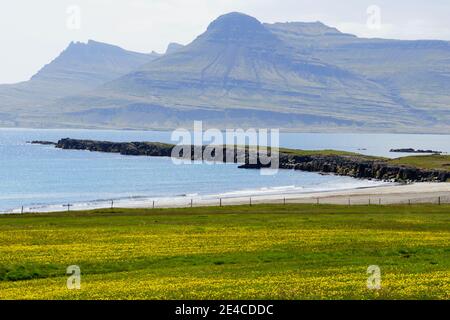 Der Blick auf grüne Landschaft, Felsformationen und Klippen am Meer in der Nähe von East Fjords, Island im Sommer Stockfoto