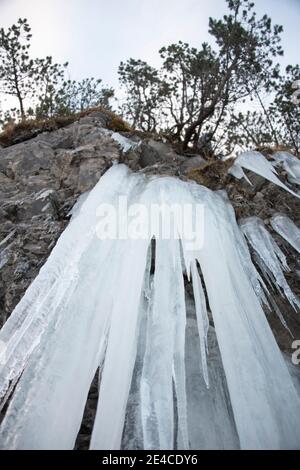 Eiszapfen auf Felswand Stockfoto