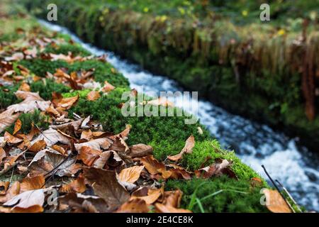 Der Schwarzenbergsche Schwemmkanal im Mühlviertel am Oberösterreicher / Tschechische Grenze Stockfoto