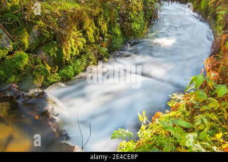 Der Schwarzenbergsche Schwemmkanal im Mühlviertel am Oberösterreicher / Tschechische Grenze Stockfoto