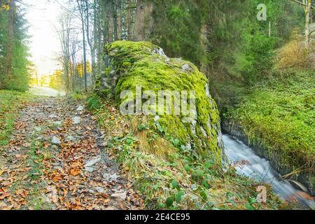 Der Schwarzenbergsche Schwemmkanal im Mühlviertel am Oberösterreicher / Tschechische Grenze Stockfoto