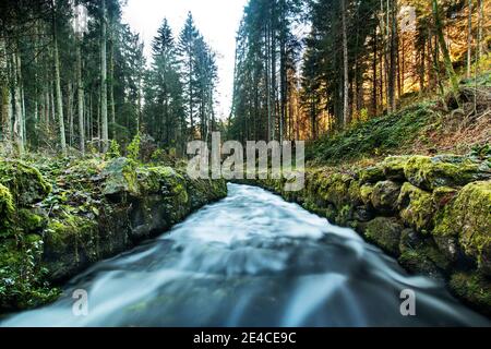 Der Schwarzenbergsche Schwemmkanal im Mühlviertel am Oberösterreicher / Tschechische Grenze Stockfoto