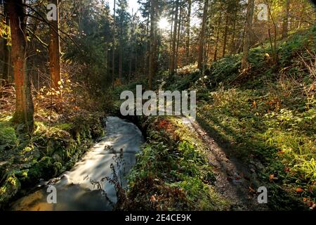 Der Schwarzenbergsche Schwemmkanal im Mühlviertel am Oberösterreicher / Tschechische Grenze Stockfoto