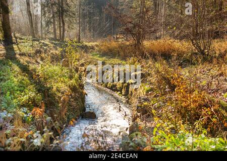 Der Schwarzenbergsche Schwemmkanal im Mühlviertel am Oberösterreicher / Tschechische Grenze Stockfoto