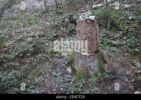 Wanderung auf den Gipfel der Kampenwand (1669 m) im Chiemgau, Chiemgauer Alpen, bei Aschau, Oberbayern, Bayern, Süddeutschland, Deutschland Stockfoto