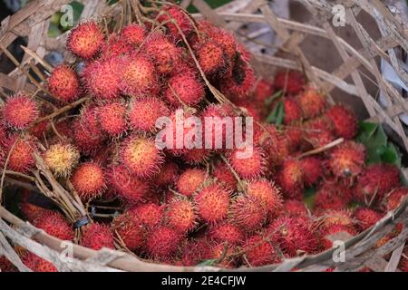 Indonesien Bali Negara - Pasar Umum Negara - Staatliche Öffentlichkeit Market - Rambutan Obstkorb Stockfoto