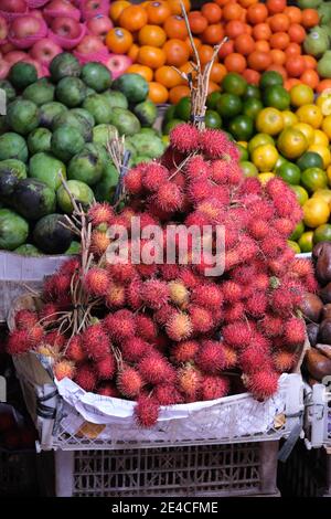 Indonesien Bali Negara - Pasar Umum Negara - Staatliche Öffentlichkeit Market - Auswahl an Obstbuden Stockfoto