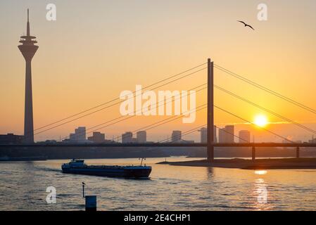 Düsseldorf, Nordrhein-Westfalen, Deutschland - Skyline, Panorama mit Fernsehturm, Rheinkniebrücke, Frachter auf dem Rhein bei Sonnenuntergang. Stockfoto