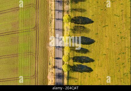 Deutschland, Thüringen, Großbreitenbach, Willmersdorf, Straße, Felder, Bäume, Baumschatten, Sidelight, Draufsicht, Luftaufnahme Stockfoto