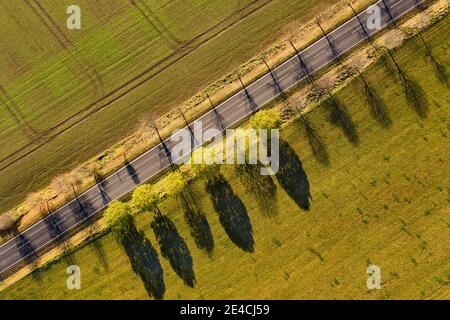 Deutschland, Thüringen, Großbreitenbach, Willmersdorf, Straße, Felder, Bäume, Baumschatten, Sidelight, Draufsicht, Luftaufnahme Stockfoto