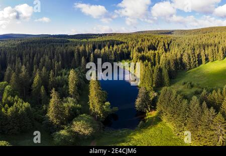 Deutschland, Thüringen, Großbreitenbach, Neustadt / Rstg, Teich, Wald, Bäume Stockfoto