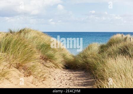 Weg durch die Dünen zum Utah Beach in der Normandie. Stockfoto