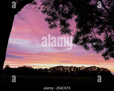 Sonnenuntergang mit Asche und Wald auf dem Balkon. Die Sonne scheint auf der Wolkendecke von unten. Stockfoto