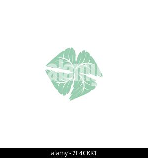 Blatt Mint Logo Vorlage Vektor Symbol Natur Stock Vektor