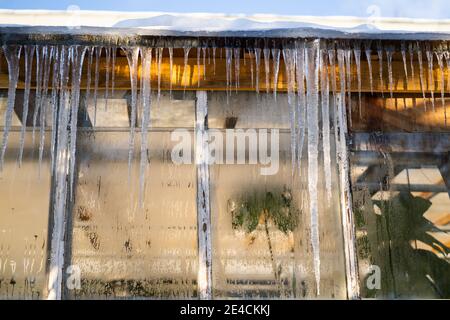 Gewächshaus des botanischen Gartens während eines frühen Frühlings, Eiszapfen hängen auf einem Dach an sonnigen Tag. Stockfoto
