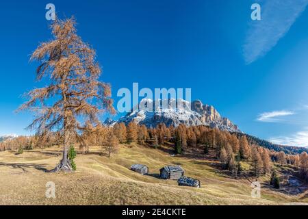 Hochabtei / Alta Badia, Provinz Bozen, Südtirol, Italien, Europa. Herbst auf den Armentara Wiesen. Im Hintergrund die Gipfel der Zehnerspitze und Heiligkreuzkofel Stockfoto