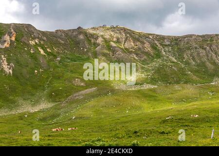 Edelweisspitze, 2572 m, Großglockner Hochalpenstraße, Nationalpark hohe Tauern, Salzburger Land, Kärnten, Österreich, Europa Stockfoto