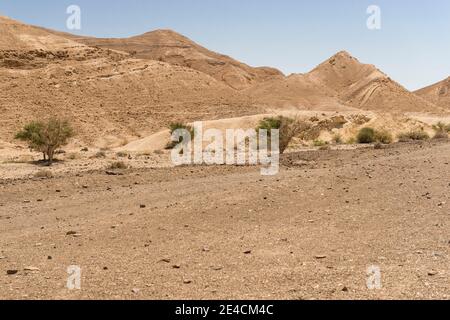 Naher Osten, Israel, Negev-Wüste Stockfoto