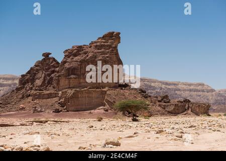 Naher Osten, Israel, Negev-Wüste, Timna Park Stockfoto