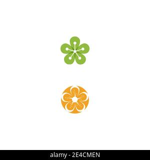 Schönheit plumeria Symbol Blumen Design Illustration Vorlage Stock Vektor