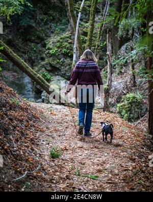 Wandern mit Hund Stockfoto