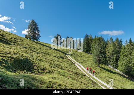 Tierers, Tierser Tal, Bozen, Dolomiten, Südtirol, Italien. Wanderer auf dem Aufstieg zum Haniger Schwaige Stockfoto