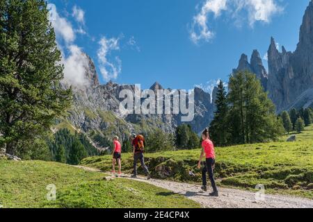 Tierers, Tierser Tal, Bozen, Dolomiten, Südtirol, Italien. Wanderer auf dem Aufstieg zum Haniger Schwaige, im Hintergrund die berühmten Vajolet-Türme Stockfoto