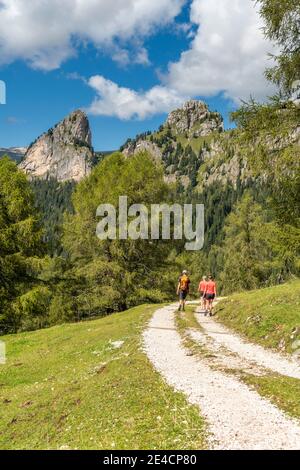Tierers, Tierser Tal, Bozen, Dolomiten, Südtirol, Italien. Wanderer auf der Abfahrt von der Haniger Schwaige Stockfoto